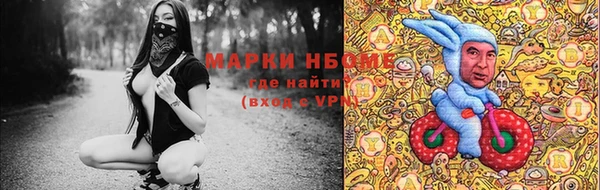 мдпв Абаза